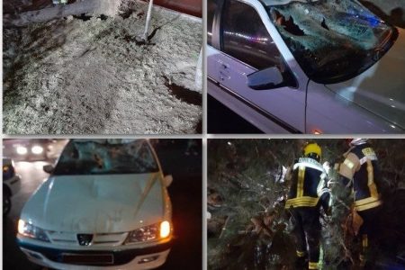 سقوط درخت در اسلامشهر به ۲ خودروی سواری خسارت وارد کرد