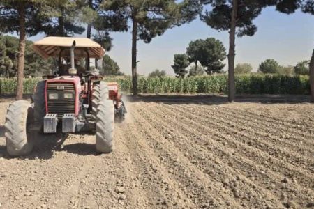 آغاز کشت کلزا در شهرستان اسلامشهر