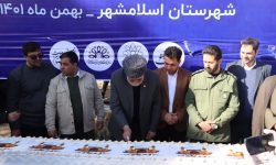 کیک صد متری به عشق امیرالمؤمنین در اسلامشهر