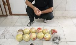 کشف ۱۱ کیلو تریاک و دستگیری یک قاچاقچی در اسلامشهر
