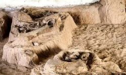 کشف ۱۳ سکه تاریخی و یک فسیل دو هزار ساله در اسلامشهر