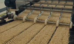 بازدید فرماندار اسلامشهر از دو شرکت تولید محصولات غذایی در احمدآباد مستوفی